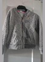 Grijs vest maat 134-140, Kinderen en Baby's, Kinderkleding | Maat 134, Ophalen of Verzenden, Zo goed als nieuw, Meisje, Trui of Vest