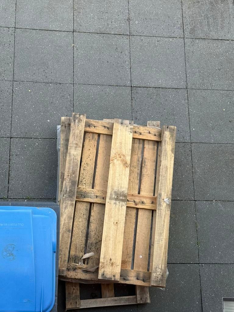 Gratis 3 pallets op te halen, Tuin en Terras, 1 tot 2 meter, Minder dan 3 meter, Ophalen of Verzenden, Zo goed als nieuw