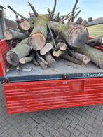 Haardhout/stookhout/stammen, Tuin en Terras, Haardhout, 3 tot 6 m³, Ophalen, Eikenhout, Stammen