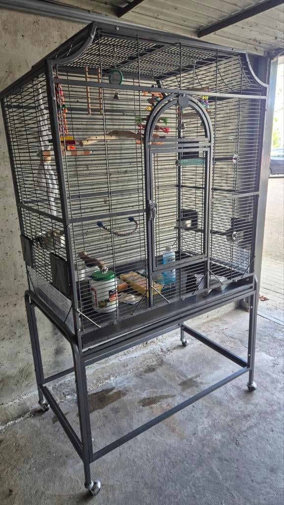 Montana Madeira 3 Antiek compleet met toebehoren, Ophalen, Gebruikt, Metaal, Vogelkooi