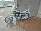 Honda VF  750C Magna, Bedrijf, Chopper