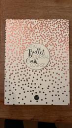 Mijn Bullet Journal Crash Course, Ophalen of Verzenden, Zo goed als nieuw