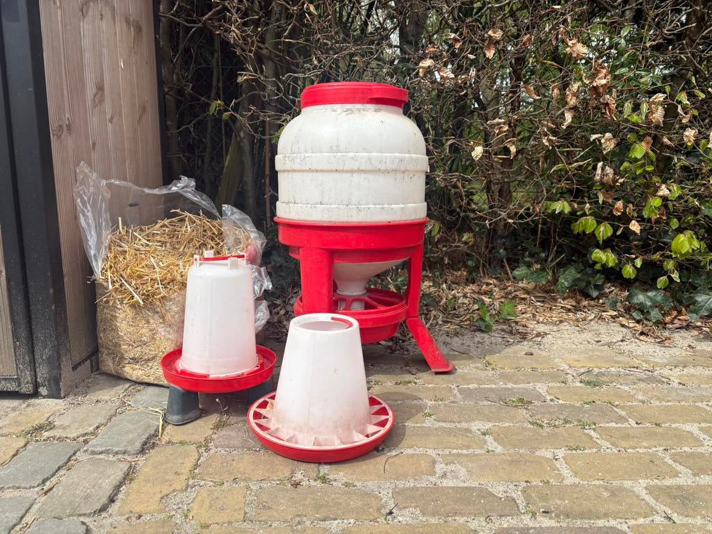 Voer en waterbak voor kippen, Ophalen, Gebruikt, Drinken en Voederen