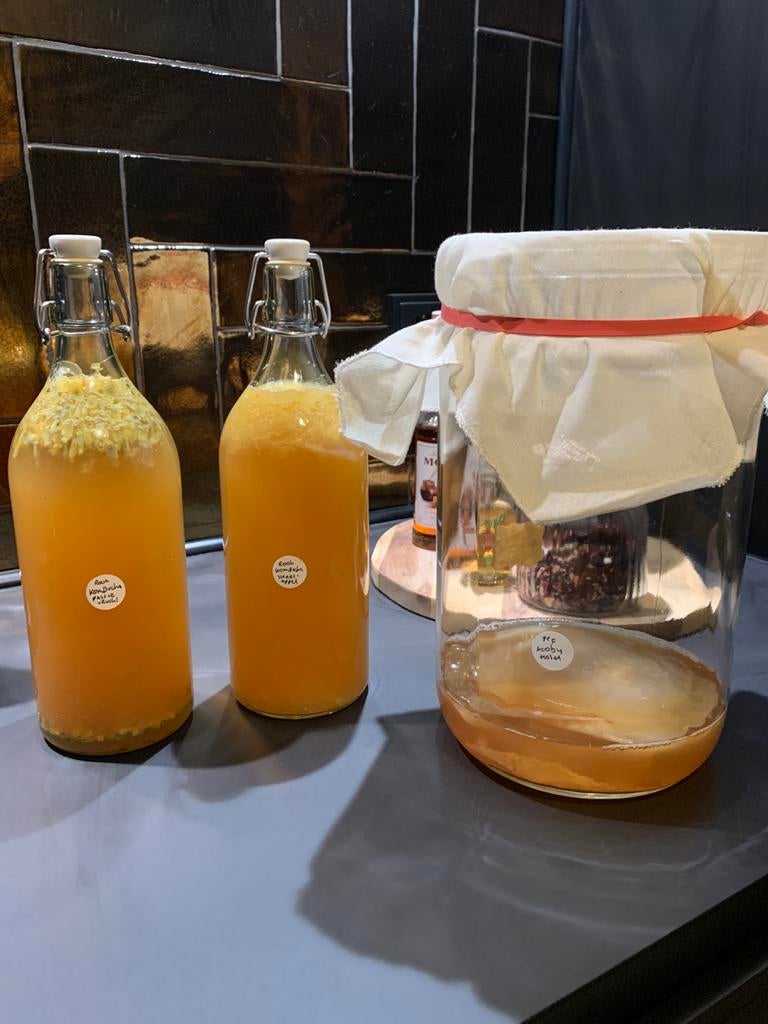 Kombucha startvloeistof, Diversen, Ophalen