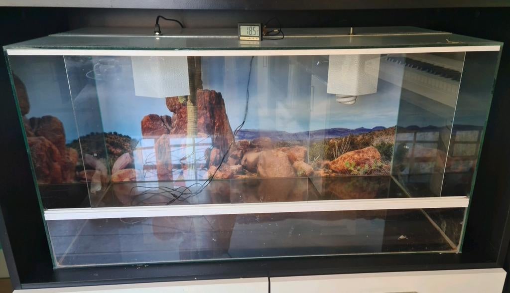 Gratis Terrarium 100x50x50, Dieren en Toebehoren, Reptielen en Amfibieën | Toebehoren, Zo goed als nieuw, Terrarium of Paludarium