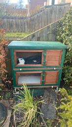 Dubbel konijnen/caviahok., Dieren en Toebehoren, Ophalen, Gebruikt, 90 cm of meer, Konijn