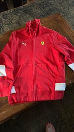 Puma pak Ferrari M, Kleding | Heren, Ophalen of Verzenden, Zo goed als nieuw, Rood, Algemeen
