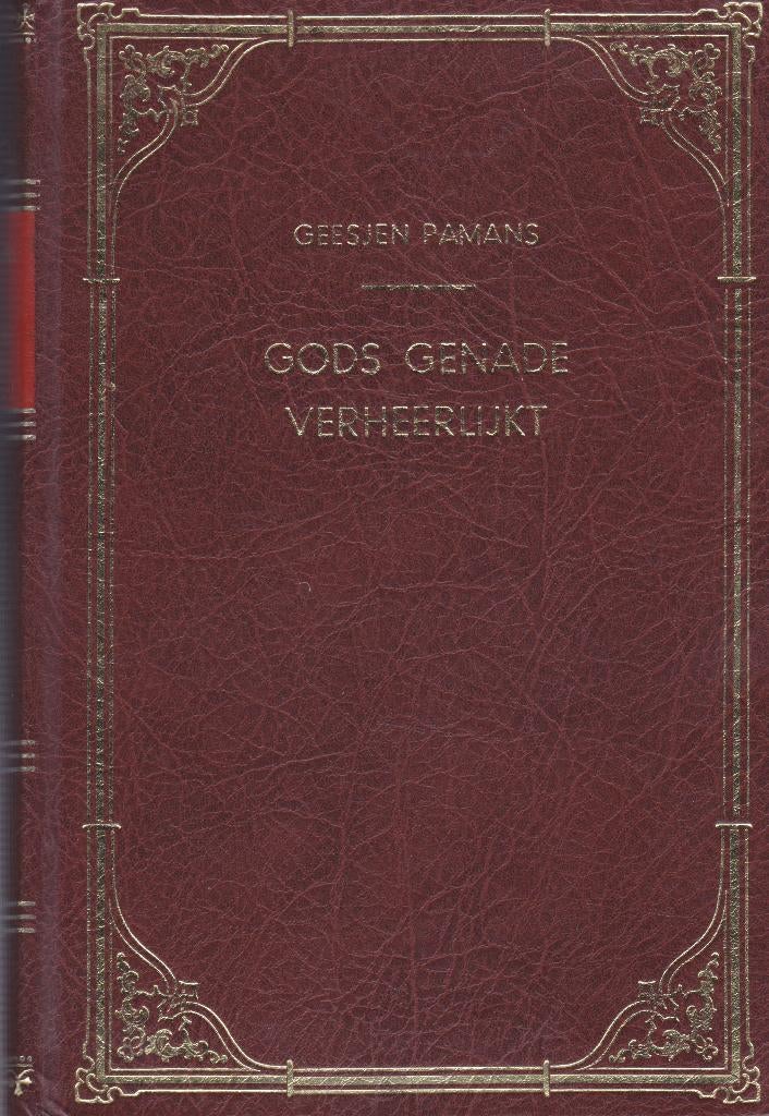 GEESJEN PAMANS - GODS GENADE VERHEERLIJKT, Ophalen of Verzenden, Gelezen