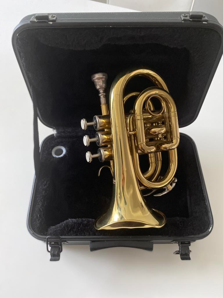 BURBANK TROMPET (zie de foto), Ophalen of Verzenden, Overige typen