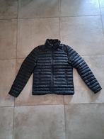 ( Tussen Door Jas ), Maat 48/50 (M), Zwart, Ophalen of Verzenden, Zo goed als nieuw