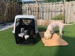 Transportbox middelgrote hond, Ophalen, Zo goed als nieuw