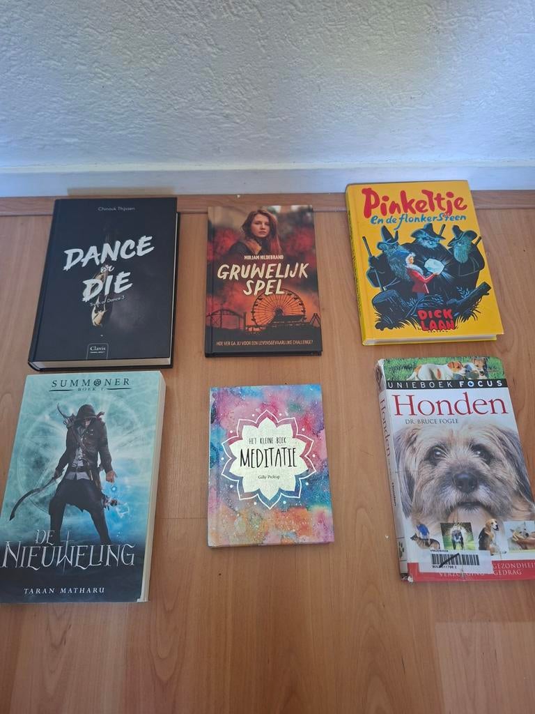 6 boeken, Ophalen of Verzenden, Zo goed als nieuw