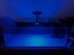 Zoutwater aquarium, Ophalen, Gebruikt, Leeg aquarium