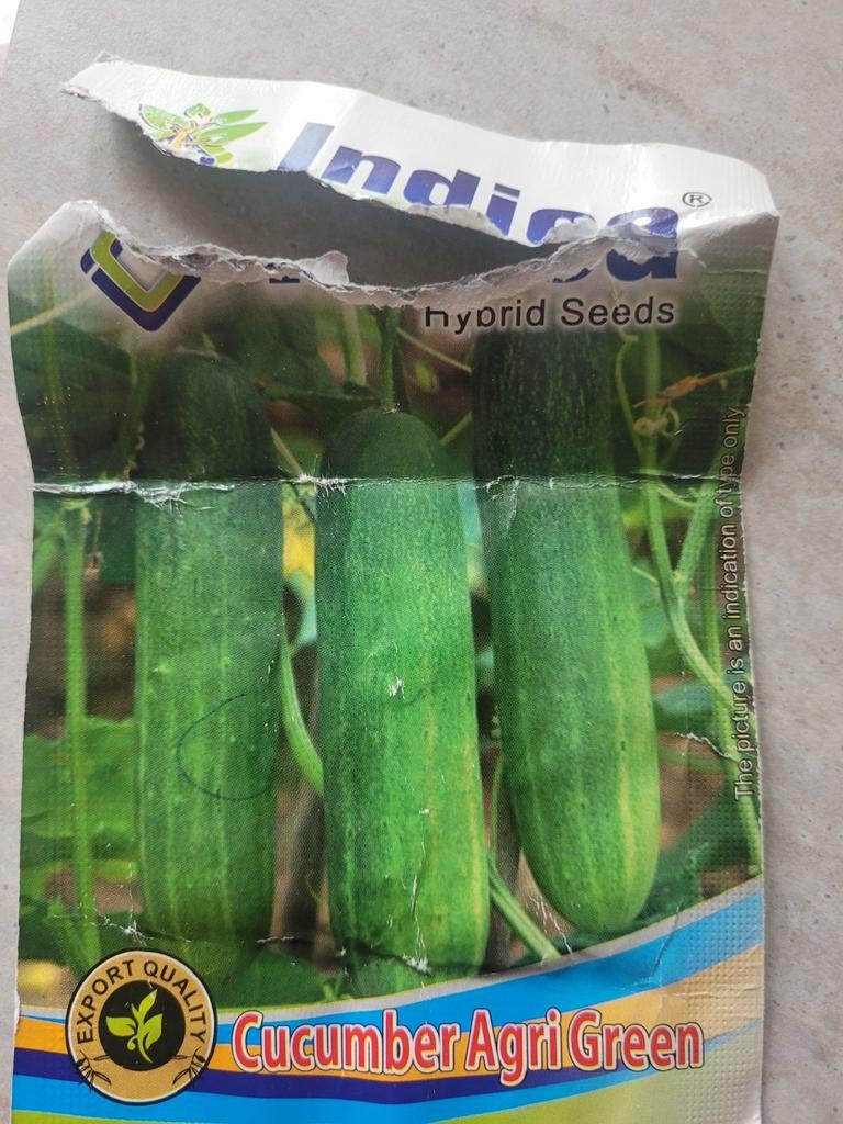 Komkomer zaden, Dieren en Toebehoren, Ophalen, Plant(en), Steen of Hout