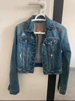 Hollister Spijkerjasje XS - Zo goed als nieuw, Kleding | Dames, Ophalen of Verzenden, Zo goed als nieuw, Maat 34 (XS) of kleiner