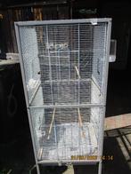 mooie voliere    metaal, Dieren en Toebehoren, Vogels | Hokken en Kooien, Ophalen, Zo goed als nieuw, Metaal, Vogelkooi