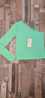 Only longsleeve 158 164 nieuw, Kinderen en Baby's, Kinderkleding | Maat 158, Meisje, Kids Only, Nieuw, Ophalen of Verzenden