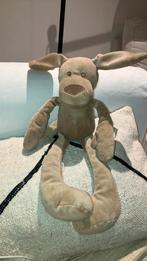 Zeeman hond, Ophalen of Verzenden, Zo goed als nieuw, Hond