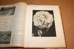 Floralia - Geïllustreerd Tuinbouwblad | 51e Jaargang 1930, Ophalen of Verzenden