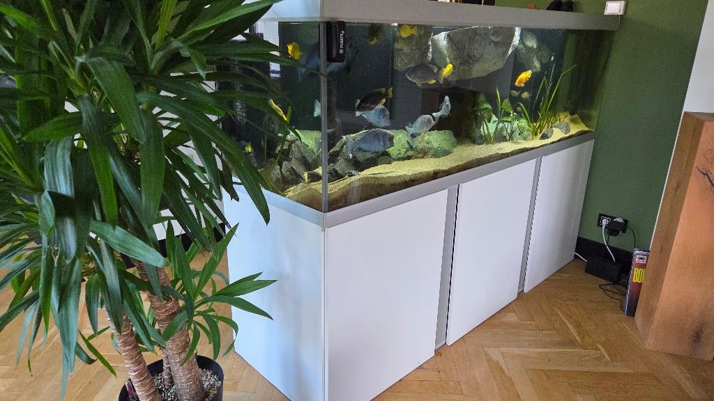 Akvastabil Fusion Aquarium 200x60x64 cm  Complete Set, Dieren en Toebehoren, Ophalen, Akvastabil, Akvastabil, Inclusief deksel