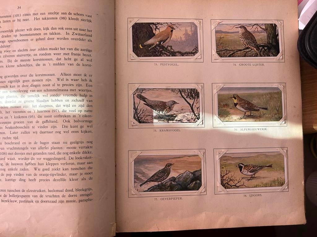 Jac. P. Thijsse - Zomer, Winter en andere boeken, Boeken, Ophalen of Verzenden, Gelezen