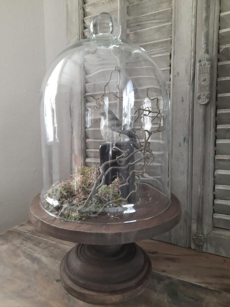 Grote stolp op houten plateau cloche cloche stoer sober, Ophalen, Gebruikt