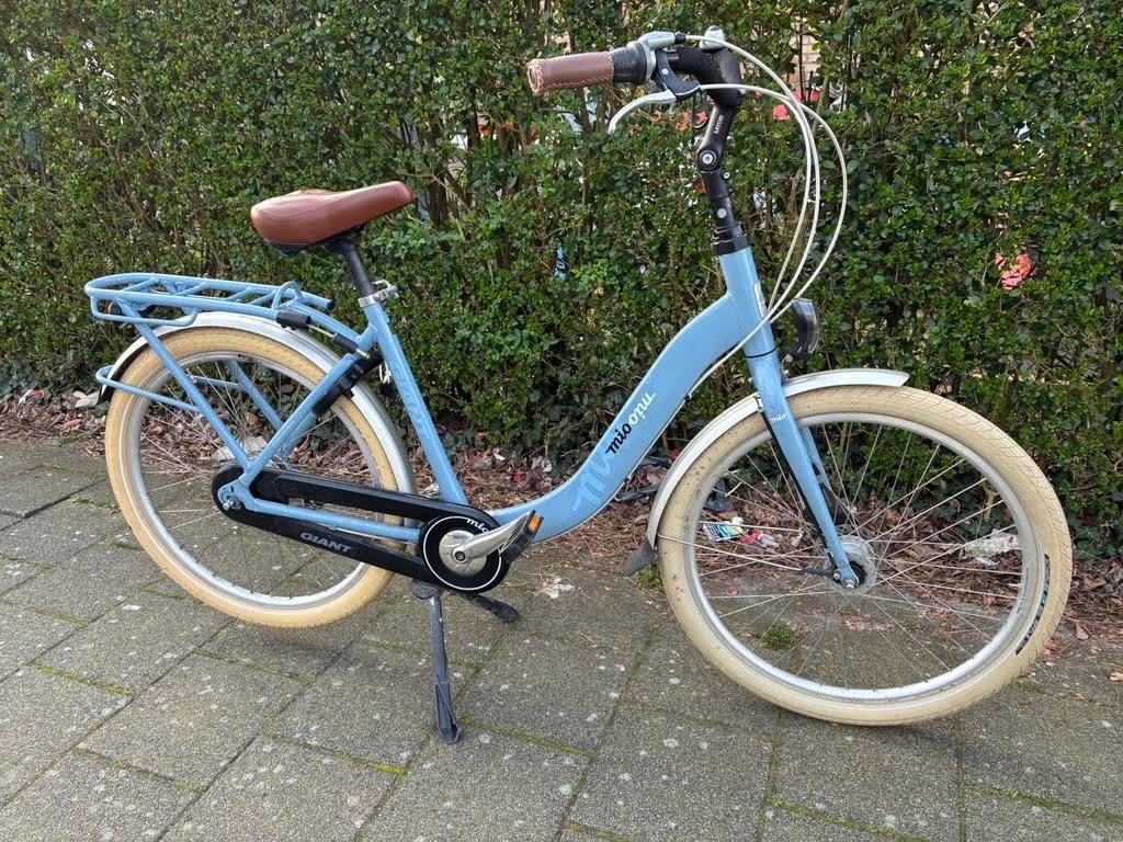Giant Mio fiets - Zo goed als nieuw, Fietsen en Brommers, Ophalen, (Extra) lage instap, Velgrem, Giant