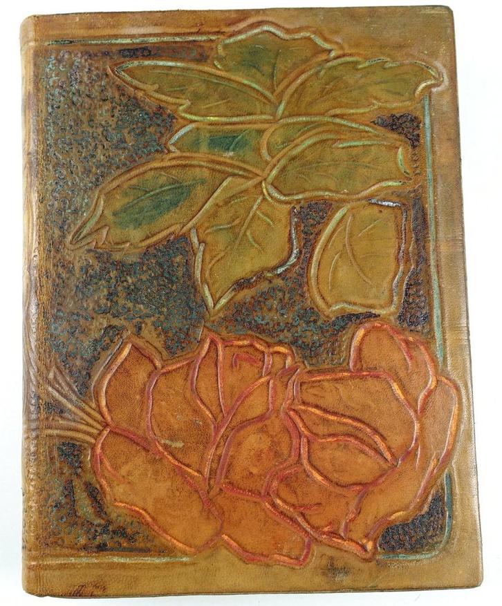 [Art Nouveau Band Reliure] Les Confidences d’une Aïeule 1900, Antiek en Kunst, Antiek | Boeken en Bijbels, Ophalen of Verzenden