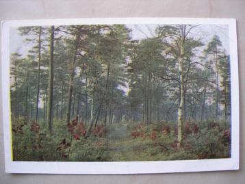 4 x Kleurenfoto van Agtmaal, ansichten bosgezicht beschikbaar voor biedingen