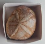 fossiel, Verzamelen, Ophalen of Verzenden, Fossiel