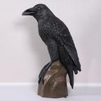 Giant Mystic Night Raven – Raaf 99.1 x 53.3 x 149.9 cm, Verzamelen, Ophalen, Nieuw, Overige typen