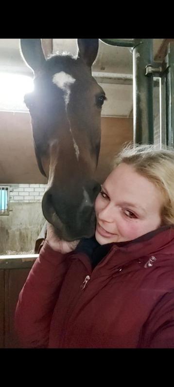 Opzoek naar een vaste baan +- 32 uur in de paarden beschikbaar voor biedingen