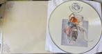 Fish (Marillion) - A Gentleman's Excuse Me 12" picture disc, Ophalen of Verzenden, Zo goed als nieuw, 12 inch, Progressive