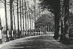 977516 Nunspeet Gld Laan Hoek Molenweg 1936 Postzegel, Verzamelen, Ansichtkaarten | Nederland, Ophalen of Verzenden, 1920 tot 1940
