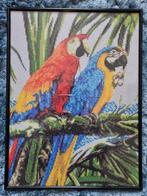 Kant en klaar diamond painting papagaai met lijst, Ophalen of Verzenden