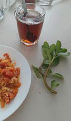 Postelein eetbaar plantje! Bladgroente, moestuin, Volle zon, Groenteplanten, Eenjarig, Ophalen of Verzenden