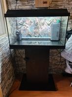 juwel aquarium met meubel, Ophalen, Gebruikt, Leeg aquarium