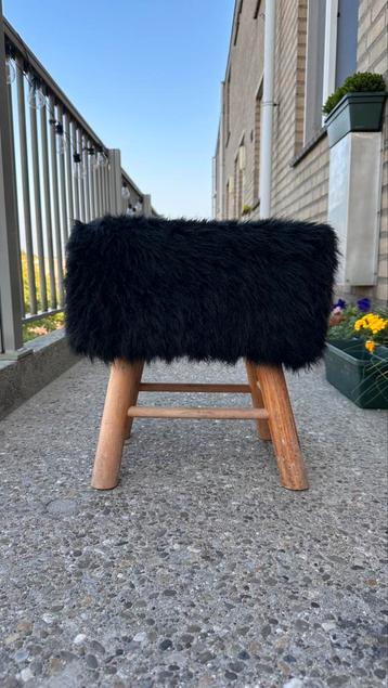 Krukje met zwarte vacht beschikbaar voor biedingen
