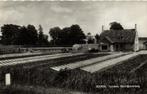 Heerde, Tuinderij Borchgraverweg - ongelopen, Verzamelen, Ansichtkaarten | Nederland, Verzenden, 1920 tot 1940, Ongelopen, Utrecht