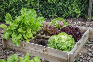 Gezocht groene vingers beschikbaar voor biedingen