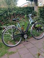 Giant Solution Light series., Versnellingen, 53 tot 56 cm, Gebruikt, Giant