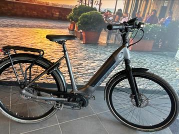 ❗️Gazelle Ultimate c5 Belt Performance 500Wh 53 cm❗️ beschikbaar voor biedingen