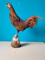 Een prachtige opgezette kip op mooie tak!, Verzamelen, Dierenverzamelingen, Nieuw, Boerderijdier, Opgezet dier, Ophalen of Verzenden