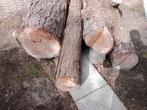 Boomstammen, Stammen, Ophalen of Verzenden, 3 tot 6 m³, Overige houtsoorten