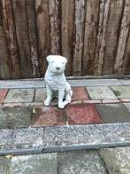 Sharpei Tuinbeeld Shar-Pei, Ophalen, Gebruikt