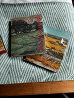 Vincent van Gogh Schilderyen Tekeningen - 2 Delen, Johannes van der wolk, Ophalen of Verzenden, Zo goed als nieuw, Schilder- en Tekenkunst