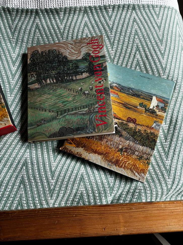 Vincent van Gogh Schilderyen Tekeningen - 2 Delen, Boeken, Kunst en Cultuur | Beeldend, Zo goed als nieuw, Schilder- en Tekenkunst