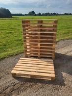 Stevige nette pallets, Doe-het-zelf en Verbouw, Hout en Planken, Ophalen, Zo goed als nieuw, 50 mm of meer, Pallet