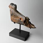 IJstijd Fossiel Paard kaak Noordzee incl. standaard op maat, Ophalen of Verzenden, Fossiel