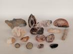 Collectie Mineralen Fossielen Geode Natuursteen, Verzamelen, Mineralen en Fossielen, Ophalen of Verzenden, Mineraal